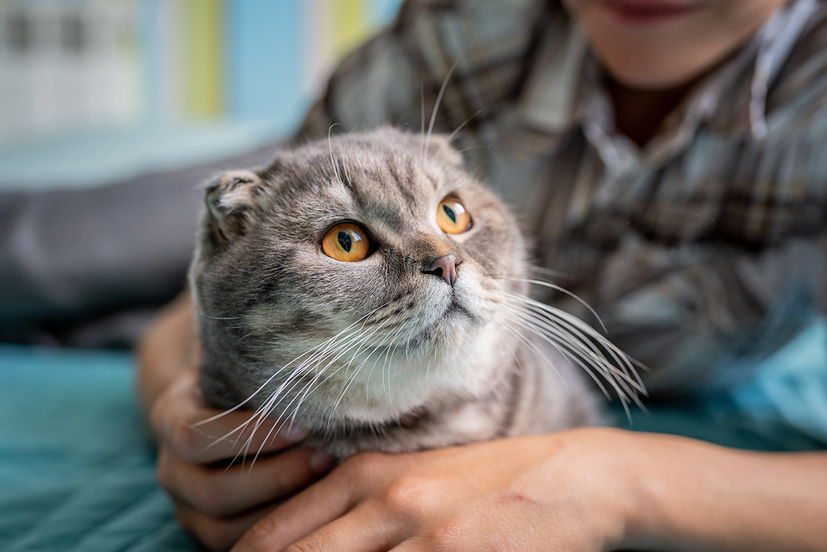 Young happy smiing child boy